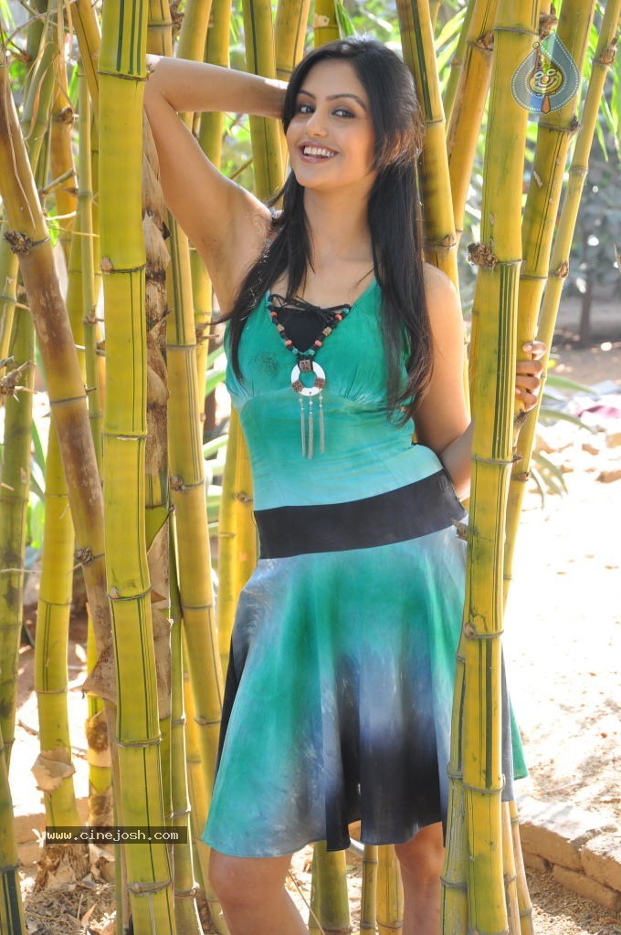 Gowri Sharma Hot Stills - 77 / 79 photos