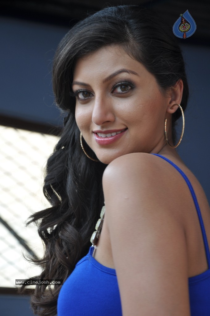 Hamsa Nandhini Hot Stills - 11 / 75 photos
