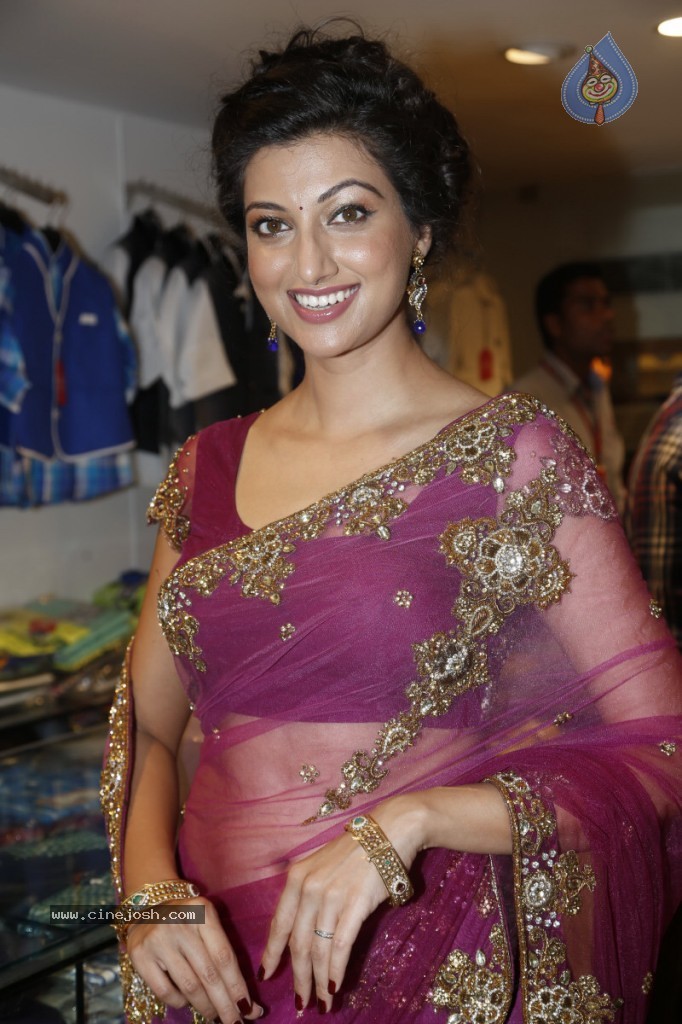 Hamsa Nandini Hot Stills - 98 / 152 photos