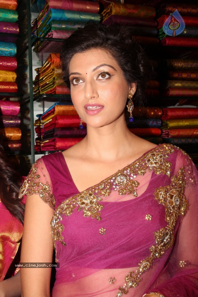 Hamsa Nandini Hot Stills - 99 / 152 photos