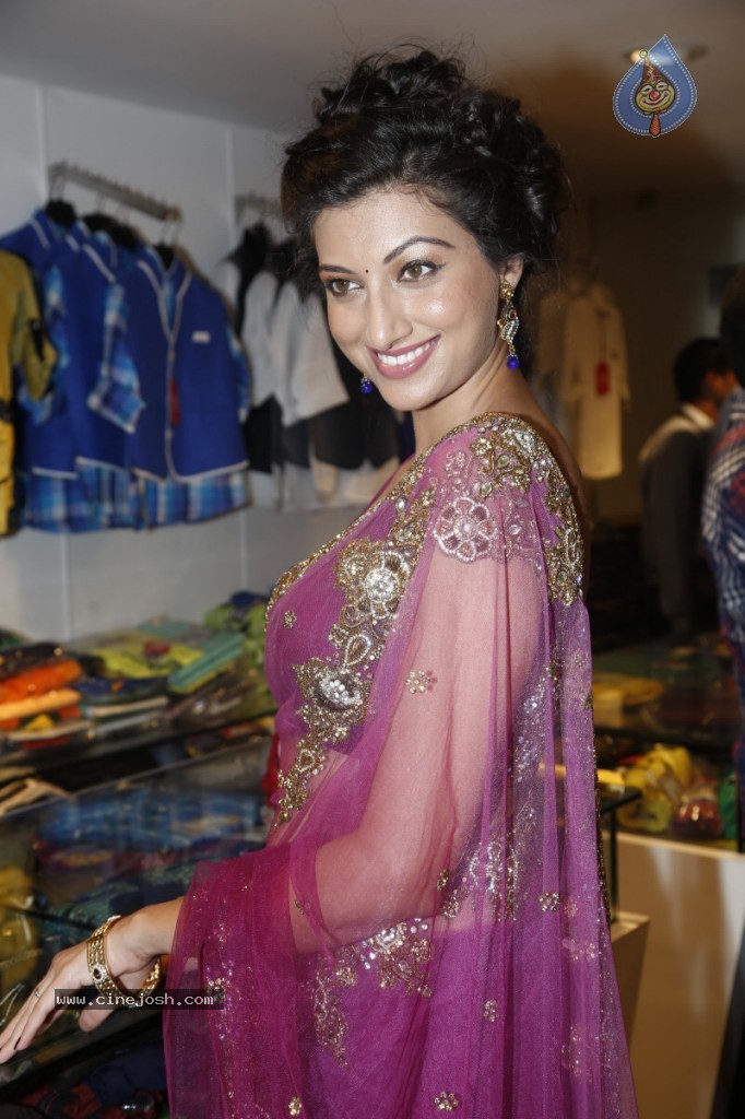 Hamsa Nandini Hot Stills - 131 / 152 photos