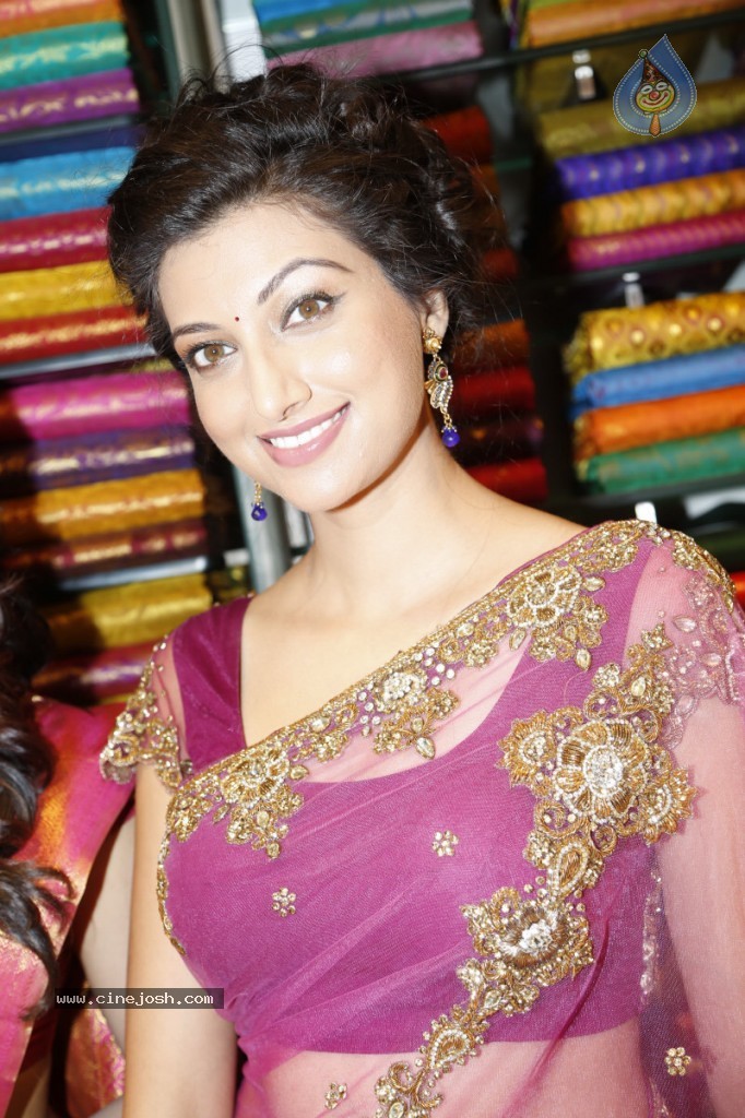 Hamsa Nandini Hot Stills - 133 / 152 photos