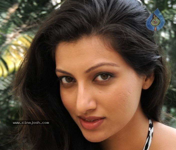 Hamsa Nandini New Stills - 2 / 42 photos