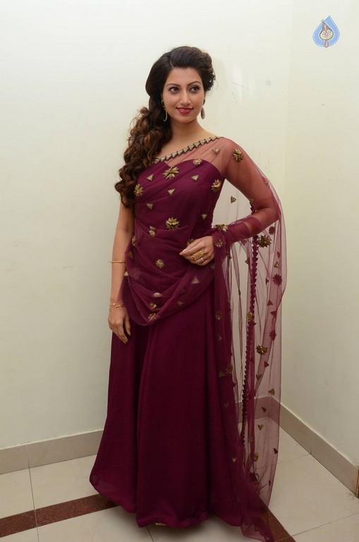 Hamsa Nandini Photos - 6 / 56 photos