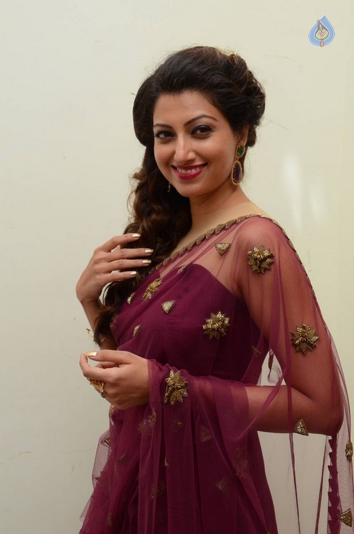 Hamsa Nandini Photos - 15 / 56 photos