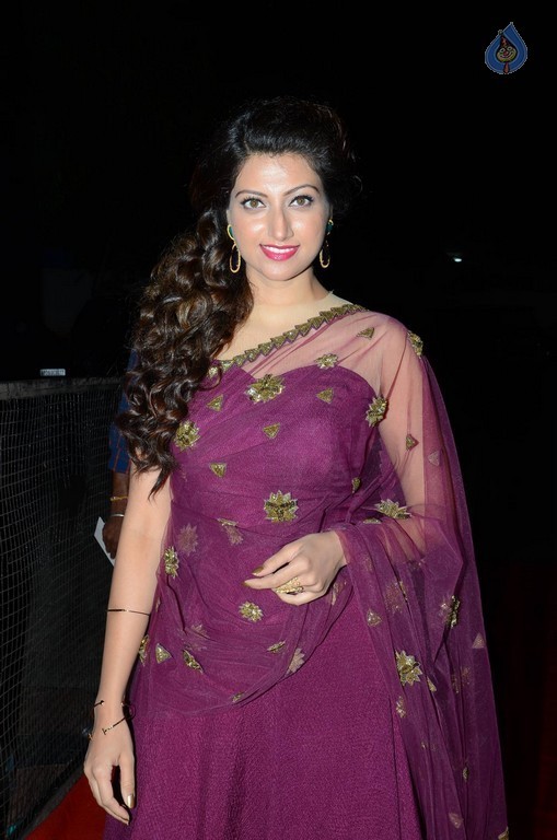 Hamsa Nandini Photos - 18 / 56 photos