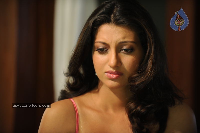 Hamsa Nandini Stills - 16 / 61 photos