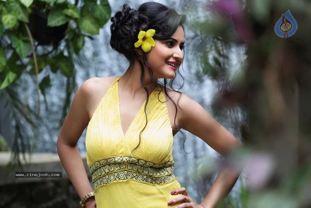 Harinakshi Portfolio Photos - 24 / 27 photos