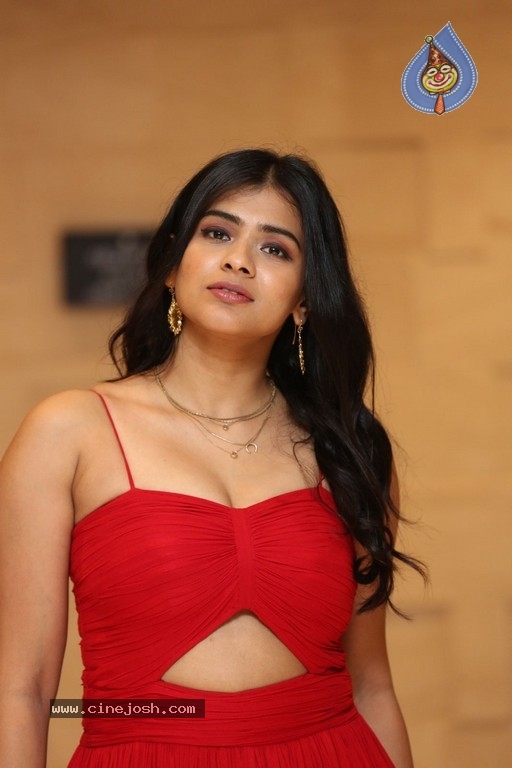 Hebah Patel Photos - 2 / 14 photos