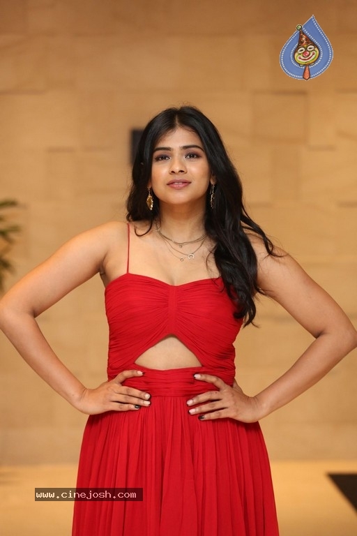 Hebah Patel Photos - 3 / 14 photos