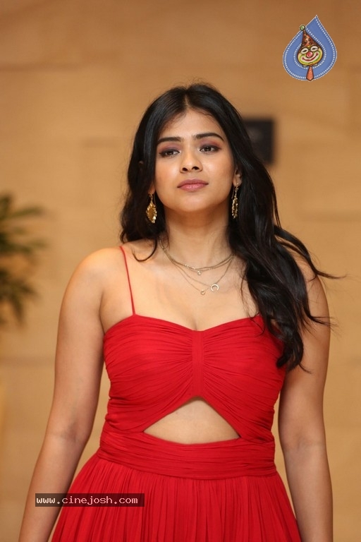 Hebah Patel Photos - 4 / 14 photos