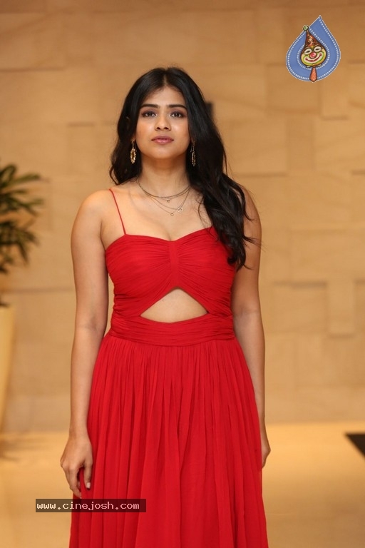 Hebah Patel Photos - 7 / 14 photos