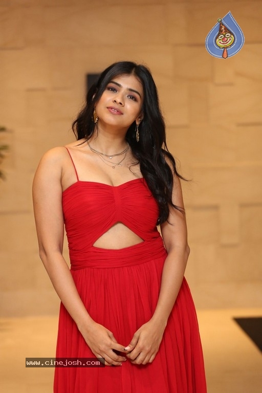 Hebah Patel Photos - 8 / 14 photos