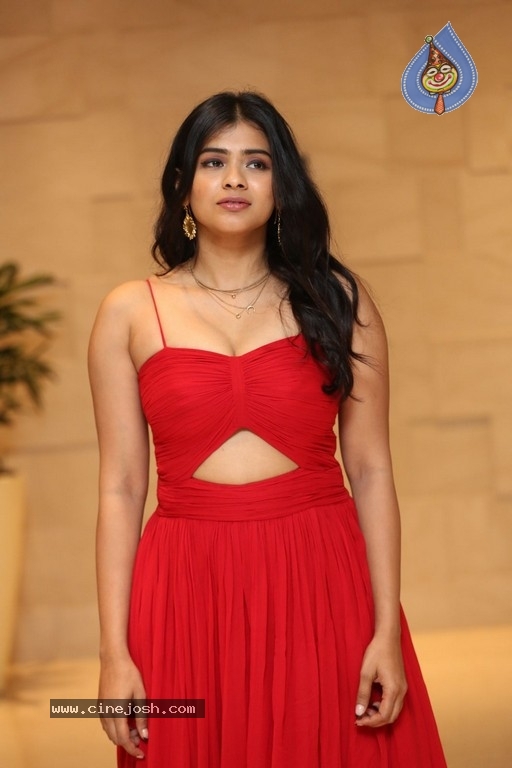 Hebah Patel Photos - 10 / 14 photos