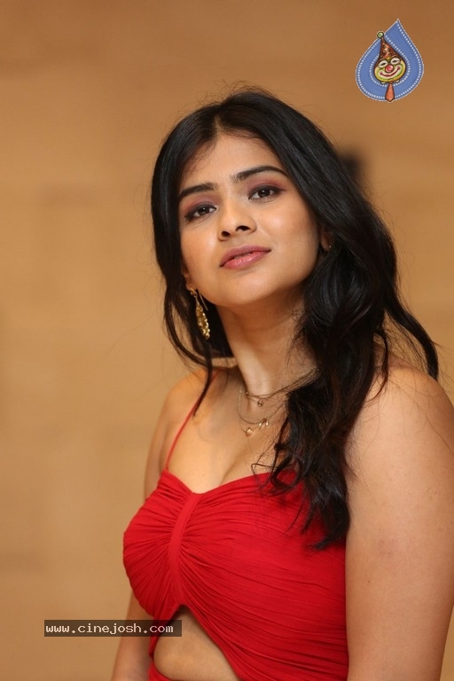 Hebah Patel Photos - 11 / 14 photos