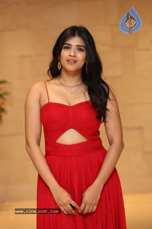 Hebah Patel Photos - 13 / 14 photos