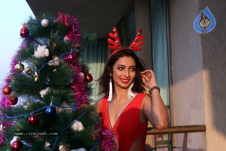 Heena Panchal Christmas Photo Shoot - 11 / 21 photos