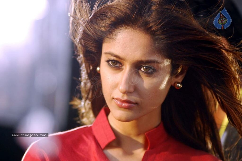 ileana,ileana stills,ileana photos,ileana high resolution stills,ileana r.....