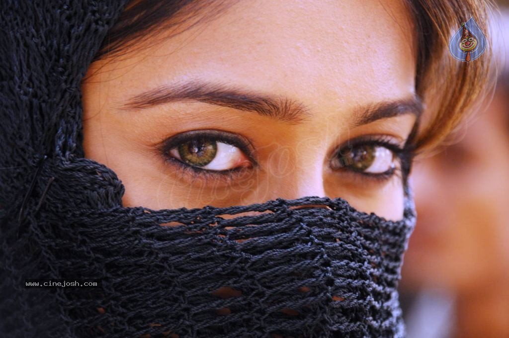 Ileana High Resolution Gallery - 60 / 74 photos