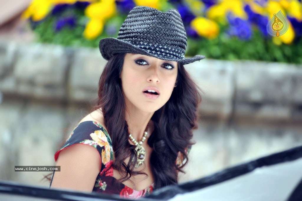 Ileana Hot Photo Gallery - 46 / 86 photos