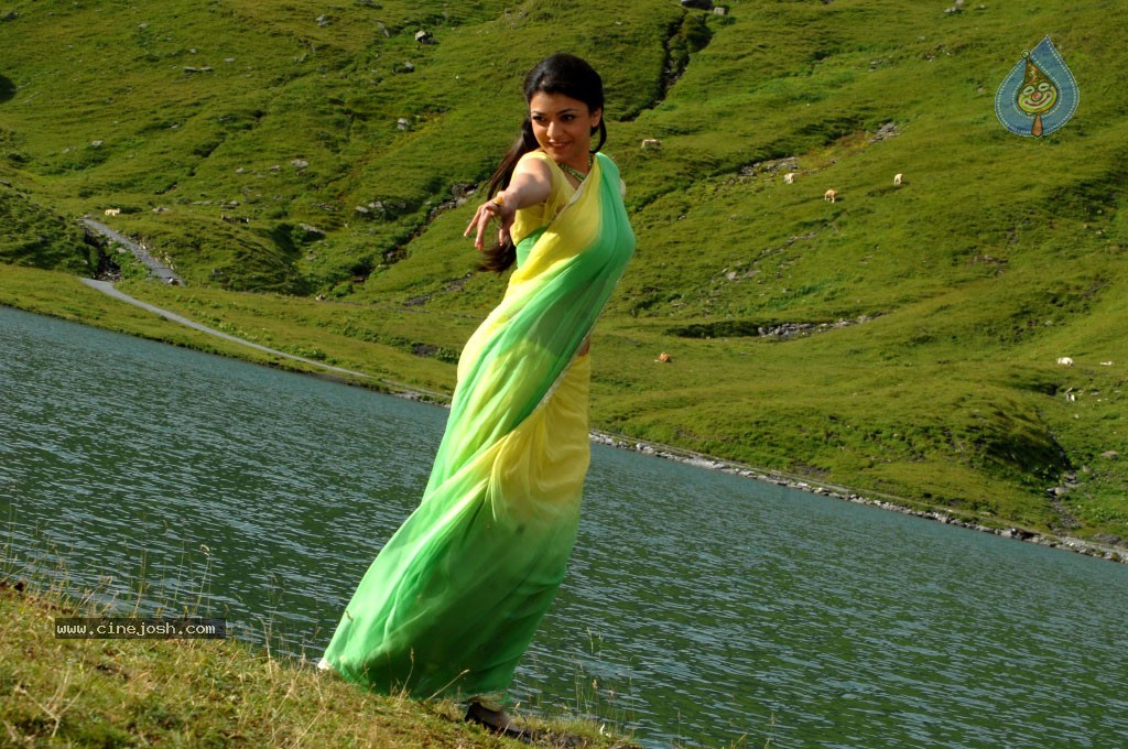 Kajal Agarwal New Gallery - 31 / 68 photos