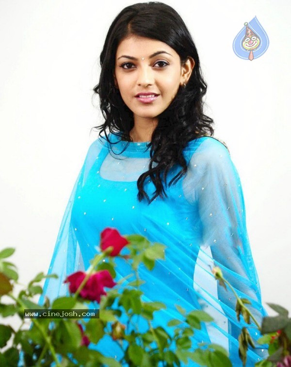 Kajal Agarwal Photo Stills - 14 / 44 photos