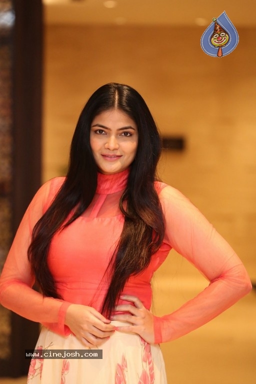 Kalpika Ganesh Photos - 10 / 18 photos