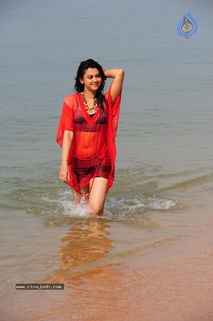 Kamna Jethmalani Hot Pics - 69 / 149 photos