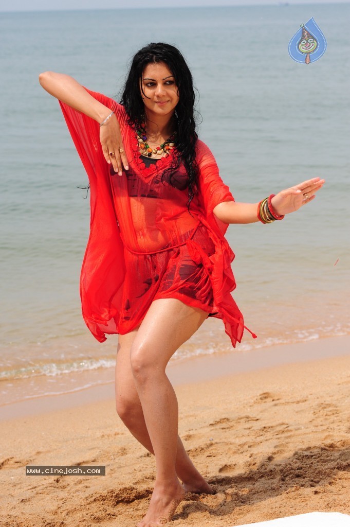 Kamna Jethmalani Hot Pics - 72 / 149 photos