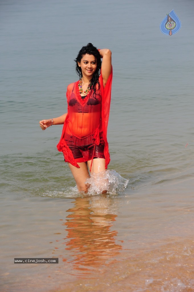 Kamna Jethmalani Hot Pics - 78 / 149 photos