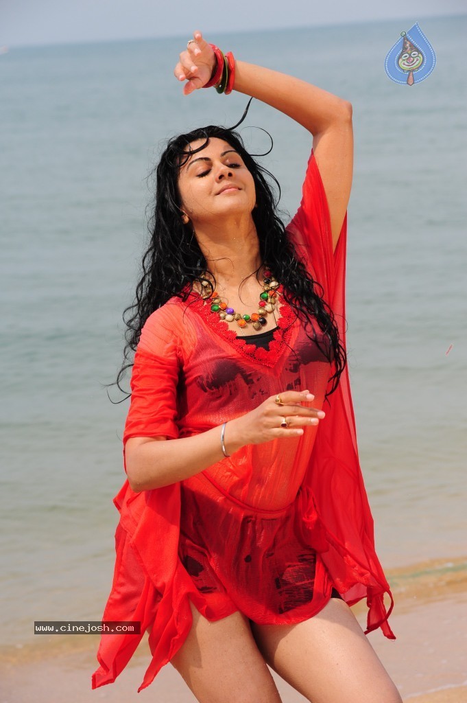 Kamna Jethmalani Hot Pics - 140 / 149 photos