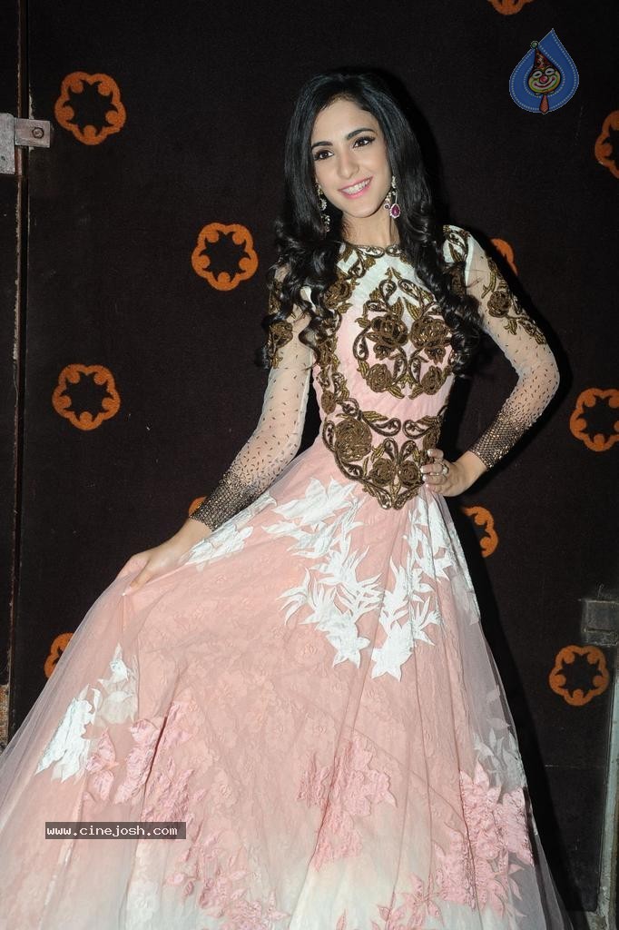 Kanika Kapoor Stills - 29 / 45 photos