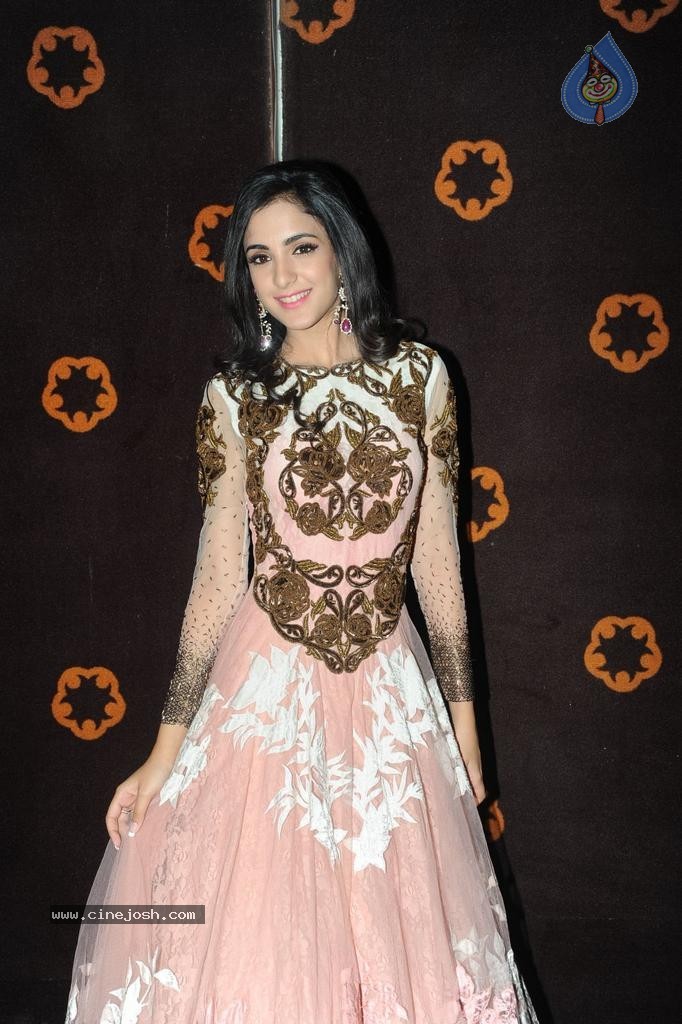 Kanika Kapoor Stills - 30 / 45 photos