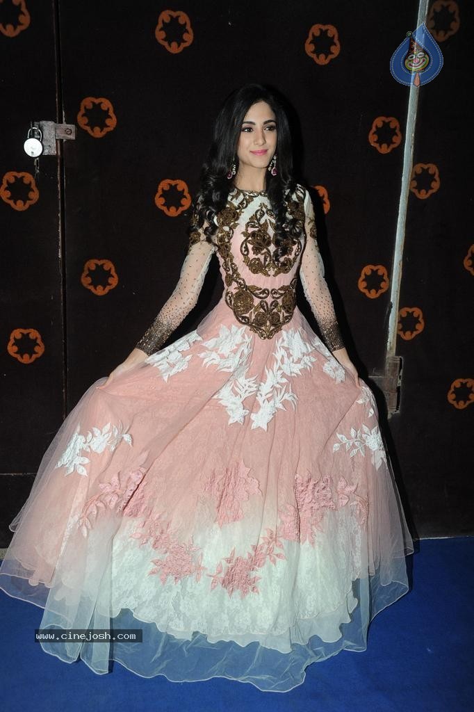 Kanika Kapoor Stills - 38 / 45 photos