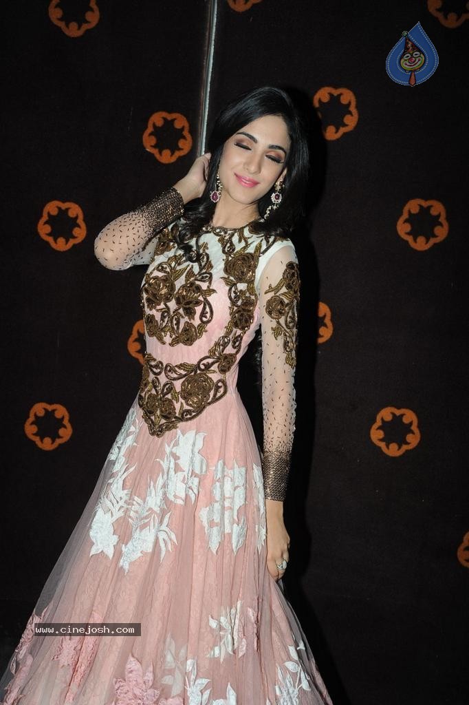 Kanika Kapoor Stills - 42 / 45 photos