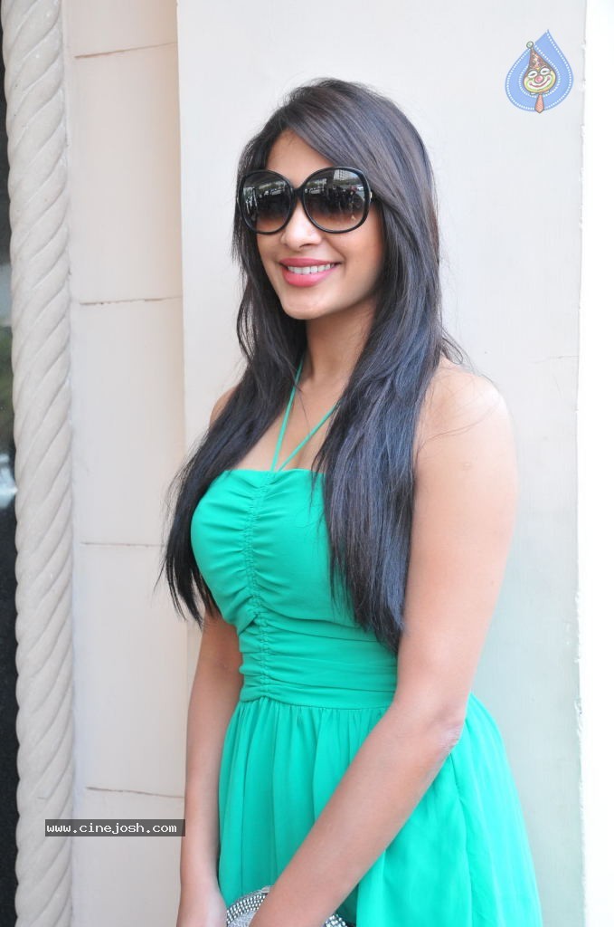 Kesha Khambhati Hot Stills - 78 / 98 photos