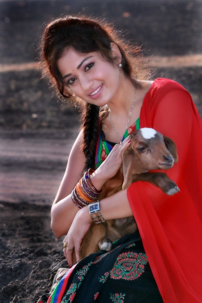 Madhavi Latha Latest Hot Pics - 20 / 22 photos