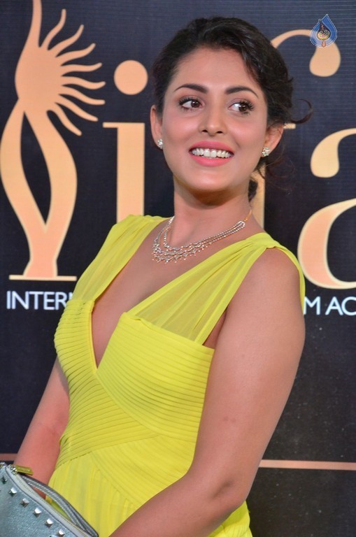 Madhu Shalini at IIFA 2017 - 34 / 36 photos