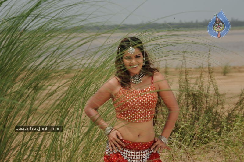 Madhu Sharma In Pravarakyudu Movie Stills - 4 / 26 photos
