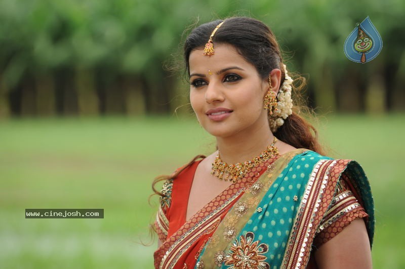 Madhu Sharma In Pravarakyudu Movie Stills - 17 / 26 photos