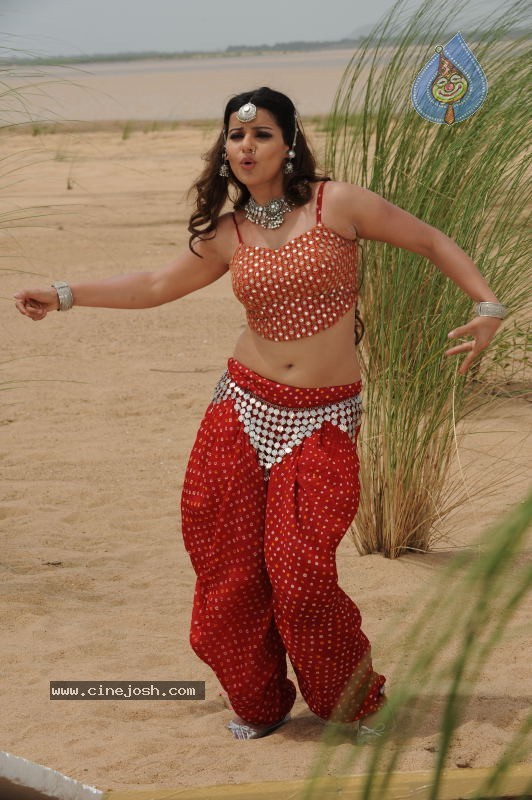 Madhu Sharma In Pravarakyudu Movie Stills - 21 / 26 photos