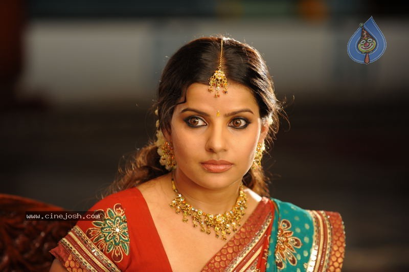 Madhu Sharma In Pravarakyudu Movie Stills - 24 / 26 photos
