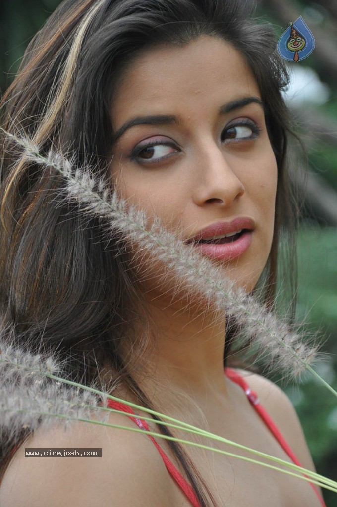 Madhurima Latest Photos - 16 / 41 photos