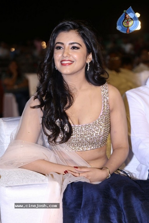 Malvika Sharma at Nela Ticket Audio Launch - 6 / 37 photos