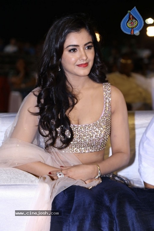 Malvika Sharma at Nela Ticket Audio Launch - 10 / 37 photos