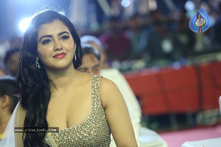 Malvika Sharma at Nela Ticket Audio Launch - 22 / 37 photos