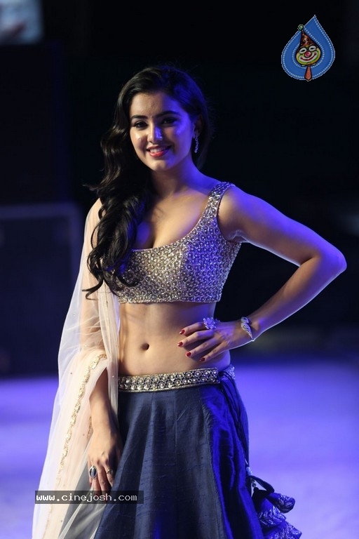 Malvika Sharma at Nela Ticket Audio Launch - 29 / 37 photos