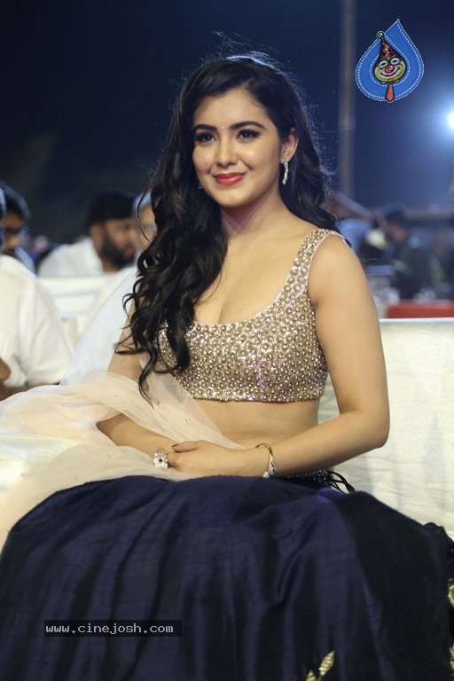 Malvika Sharma at Nela Ticket Audio Launch - 36 / 37 photos