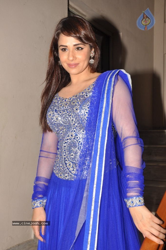 Mandy Takhar Hot Photos - 59 / 126 photos