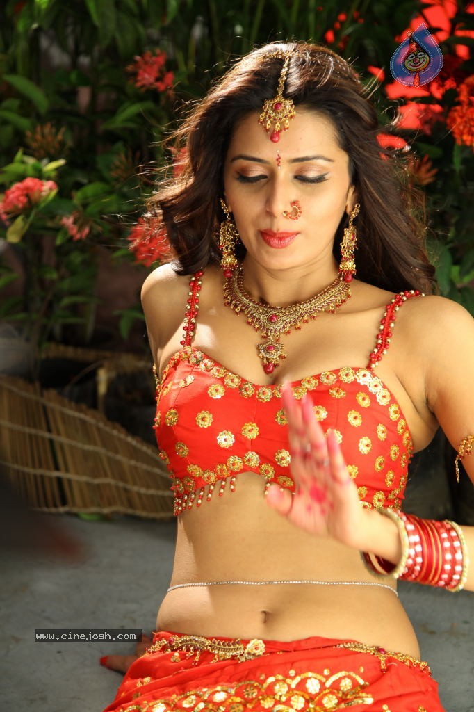 Meenakshi Dixit Hot Stills - 16 / 21 photos